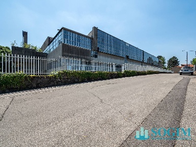 Foto Capannone industriale in Via Roma 71, Golasecca di 10711 m² in vendita
