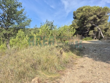 Foto Terreno agricolo in Via Vallovaia, San Bartolomeo al Mare Centro