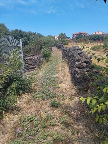Foto Terreno edificabile in Via Fiume snc, Belpasso Centro di 1900 m²