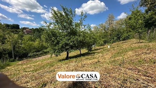 Foto Magazzino a Visone con 1 locali in vendita