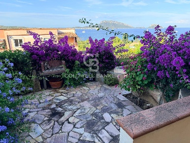 Foto Appartamento a Golfo Aranci di 50 m² con 3 locali in vendita