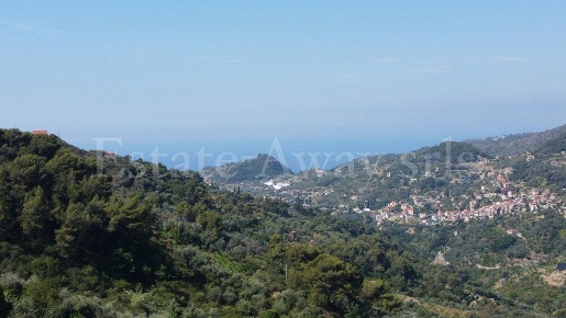 Foto Terreno residenziale in C.so B.Leone, Seborga di 17711 m² in vendita