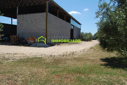 Foto Capannone industriale in via delle Querce, Cisterna di Latina Centro