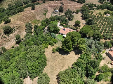 Foto Villa unifamiliare a Scansano di 300 m² con 10 locali in vendita
