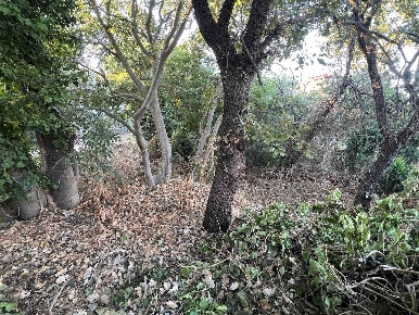 Foto Terreno agricolo in Via Paolo Vasta 32, Aci Sant'Antonio Centro