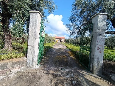 Foto Terreno agricolo in GRV6+27 Paternò Città metropolitana di Catania,