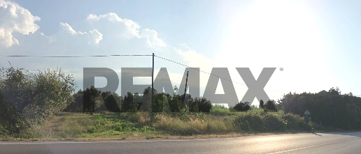 Foto Terreno agricolo in Contrada San Marco snc, Ortona di 7260 m²