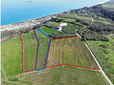Foto Terreno agricolo in C.da Lentesco, Torino di Sangro di 5325 m²