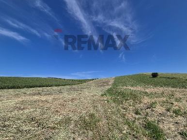 Foto Terreno agricolo in Via Turaglie snc, Paglieta di 11230 m² in vendita
