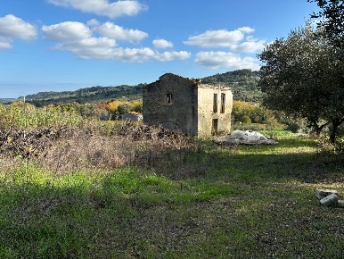 Foto Terreno agricolo in Via Feltrino, Frisa Centro di 9464 m² in vendita