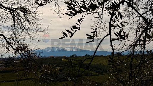 Foto Terreno agricolo in Località Cianchetta via Torremontanara 58,