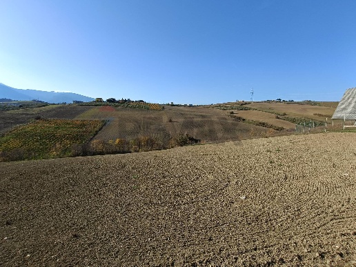 immagine annuncio 10 di 13