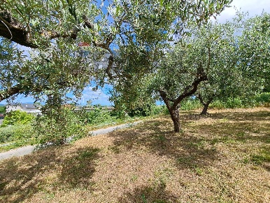 Foto Terreno residenziale in Contrada Marcianese, Lanciano Centro