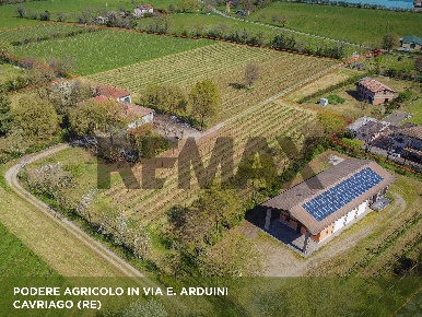 Foto Cessione attività in via Ernesto Arduini 33, Reggio nell'Emilia Centro