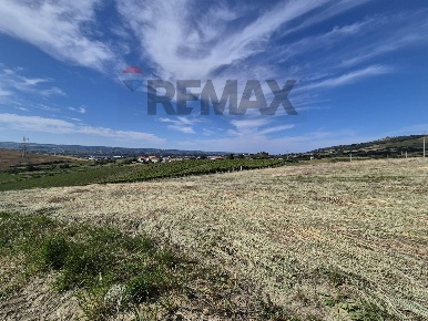 Foto Terreno agricolo in Via Turaglie SNC, Paglieta di 11340 m² in vendita