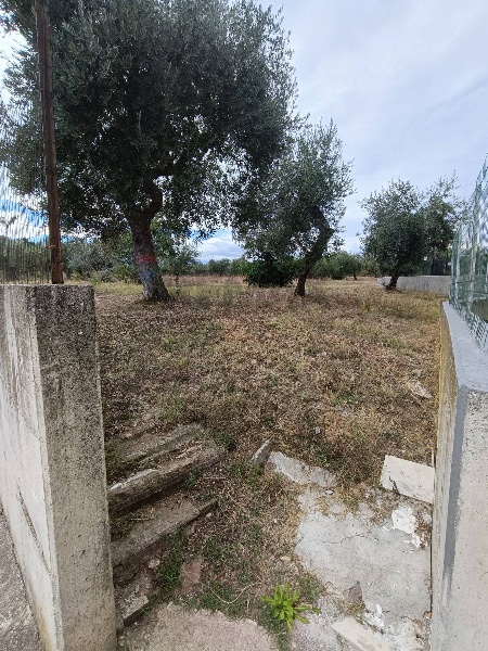 immagine annuncio 5 di 8
