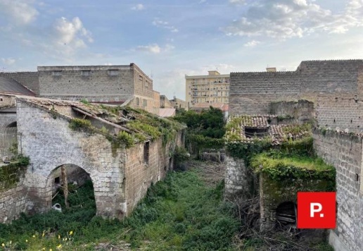immagine annuncio 3 di 14