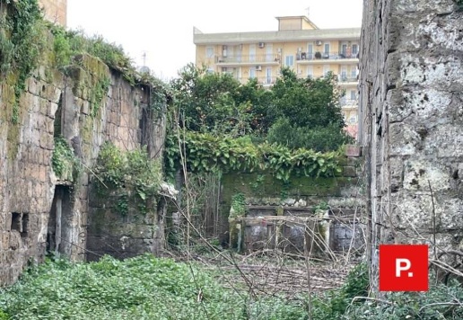 immagine annuncio 7 di 14