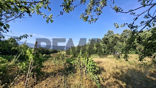 Foto Terreno agricolo in via nazionale poggio bagnoli snc, Poggio Bagnoli