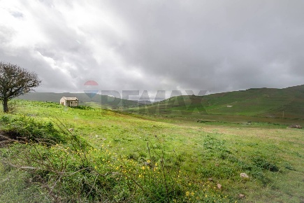 Foto Terreno agricolo in Contrada Sant'Agata snc, Piana degli Albanesi
