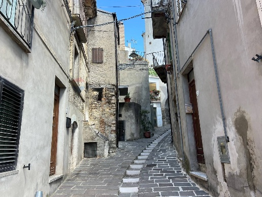 immagine annuncio 3 di 14
