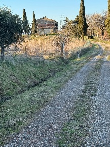 Foto Cessione attività a Cinigiano di 500 m² con 10 locali in vendita