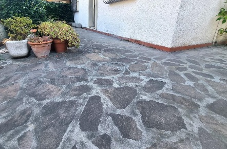 Foto Villa bifamiliare a Viareggio Terminetto - Migliarina di 143 m²