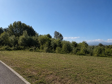 Foto Terreno residenziale a Capannori Segromigno - San Colombano di 2600 m²