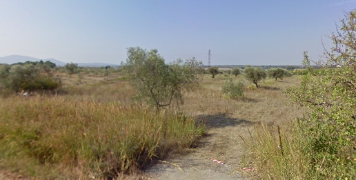 Foto Terreno agricolo a Grosseto Rispescia in vendita