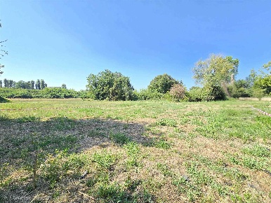 Foto Terreno agricolo a Viareggio Terminetto - Migliarina di 350 m²