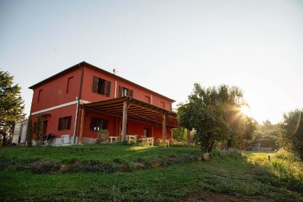Foto Rustico a Magliano in Toscana Centro di 855 m² con 14 locali