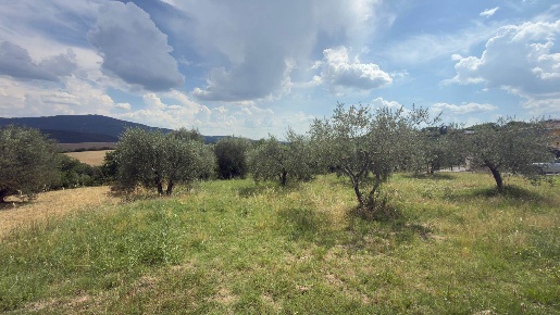 Foto Terreno agricolo a Panicale Missiano di 700 m² in vendita