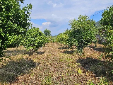 Foto Terreno agricolo in Via Alveo San Nicola, Nocera Inferiore di 4000 m²