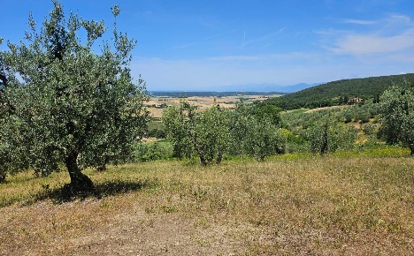 Foto Terreno agricolo a Santa Luce di 17000 m² in vendita