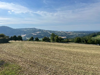 Foto Terreno edificabile a Rivergaro di 3000 m² in vendita