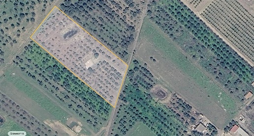 Foto Terreno agricolo a Lentini di 7505 m² in vendita