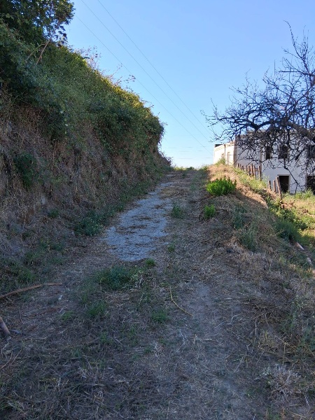 immagine annuncio 1 di 8