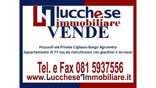 immagine annuncio 7 di 8