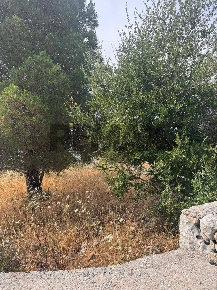 Foto Terreno agricolo in Contrada Tenutazza snc, Melilli di 8800 m²