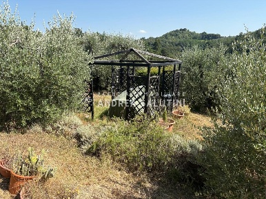 Foto Terreno agricolo a Pontedera Montecastello, Treggiaia, I Fabbri