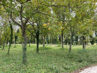 Foto Terreno residenziale a Treviso Sant'Antonino - Ospedale di 1500 m²