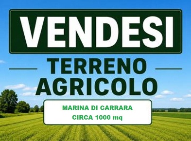 Foto Terreno agricolo a Carrara Avenza di 1000 m² in vendita
