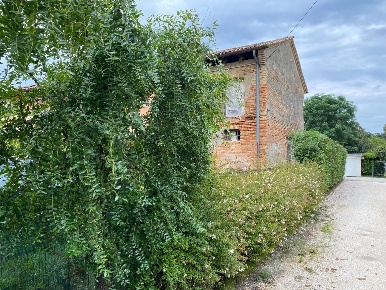 Foto Terreno agricolo a Treviso Sant'Antonino - Ospedale di 5500 m²