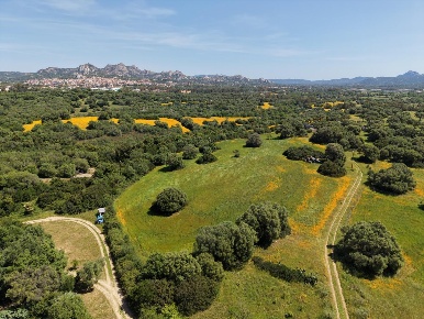 Foto Terreno agricolo a Arzachena Arzachena Paese di 30000 m² in vendita