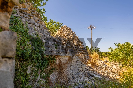 Foto Rustico in contrada paretano snc, Monopoli di 120 m² con 4 locali