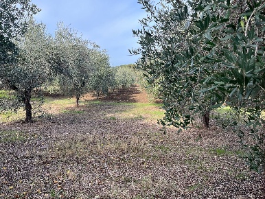 Foto Terreno residenziale in C.DA INCORONATA, Vasto di 867 m² in vendita