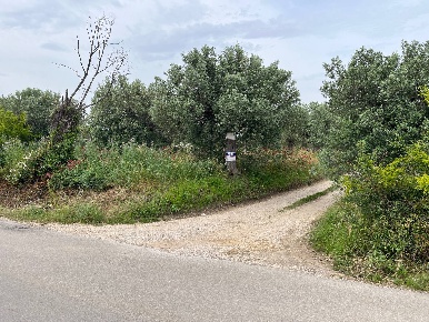 Foto Terreno agricolo in VIA SAN ROCCO, Vasto di 3940 m² in vendita