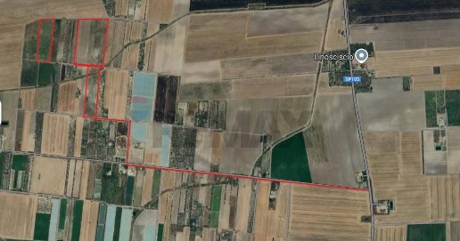 Foto Terreno agricolo in Strada Provinciale 105 snc, Foggia in vendita
