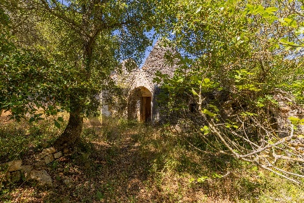 Foto Chalet in Canale di Pirro snc, Monopoli di 60 m² con 3 locali