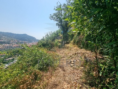 Foto Terreno agricolo in Via Daffra 20, Ventimiglia Latte, Ville di 1729 m²